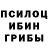 Псилоцибиновые грибы GOLDEN TEACHER HSK