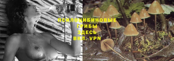 гашик Абинск